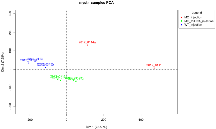 Raw PCA plot
